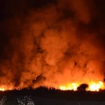 Πύρινη κόλαση στη Λάρισα: Καίγεται επιχείρηση ανακύκλωσης στο Ομορφοχώρι (video) – Μήνυμα του 112