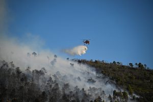Χωρίς ενεργό μέτωπο η φωτιά στον Πύργο