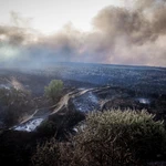 Συγκλονιστικές εικόνες των καμένων εκτάσεων σε Ωραιόκαστρο και Φιλοθέη από drone (video)