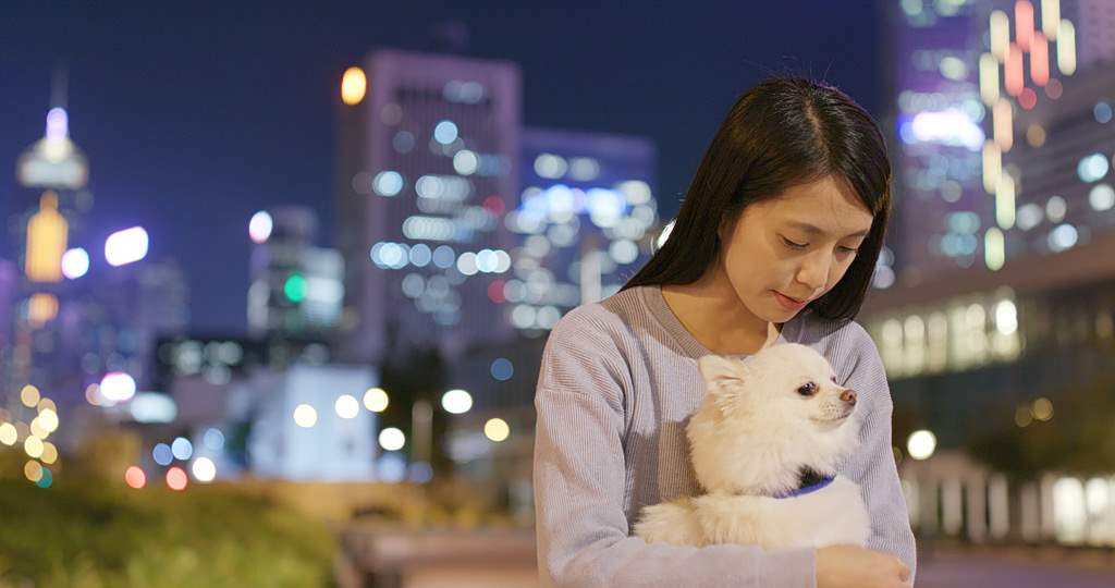 tokyo-pets-fur-babies